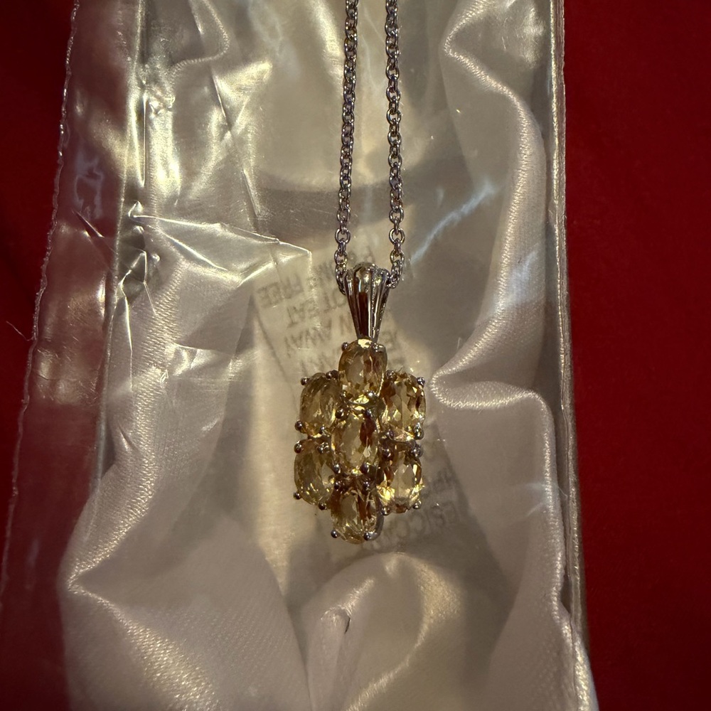 Elegant Silver Necklace with Gold Pendant
